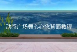 动感广场舞心心念背面教程