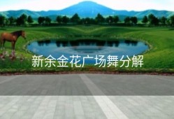 新余金花广场舞分解