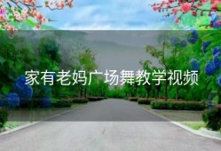 家有老妈广场舞教学视频