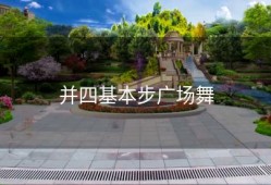 并四基本步广场舞