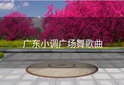 广东小调广场舞歌曲