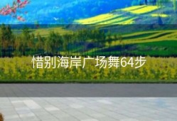 惜别海岸广场舞64步