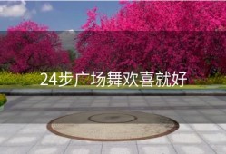 24步广场舞欢喜就好