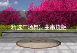 精选广场舞舞曲串烧版