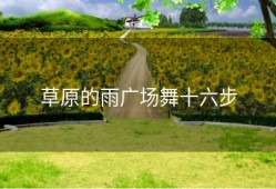 草原的雨广场舞十六步