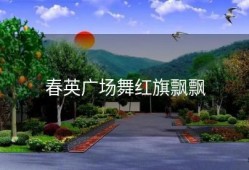 春英广场舞红旗飘飘