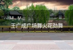 王广成广场舞火花劲舞