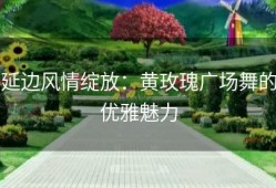 延边风情绽放：黄玫瑰广场舞的优雅魅力