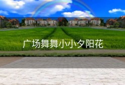 广场舞舞小小夕阳花