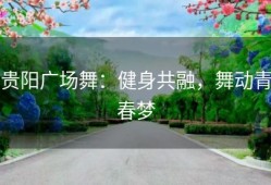 贵阳广场舞：健身共融，舞动青春梦