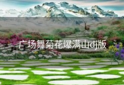 广场舞菊花爆满山dj版