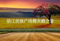 丽江民族广场舞天籁之爱