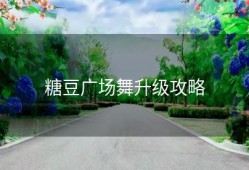 糖豆广场舞升级攻略