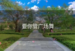 要你管广场舞