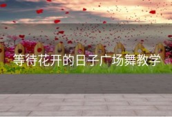 等待花开的日子广场舞教学