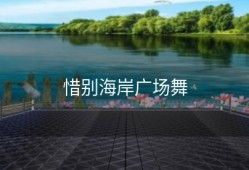 惜别海岸广场舞