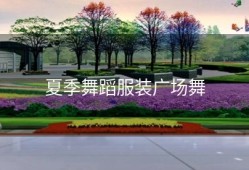 夏季舞蹈服装广场舞