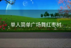 单人简单广场舞红枣树