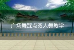 广场舞踩点双人舞教学