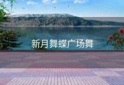 新月舞蝶广场舞