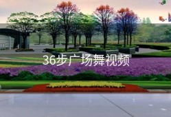 36步广场舞视频