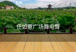 任如意广场舞电臀