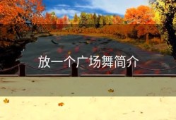 放一个广场舞简介