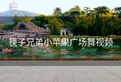 筷子兄弟小苹果广场舞视频