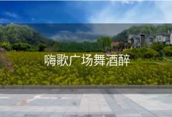 嗨歌广场舞酒醉