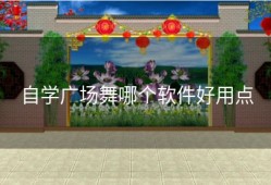 自学广场舞哪个软件好用点