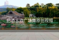 把酒言欢广场舞原创视频