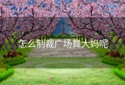 怎么制裁广场舞大妈呢