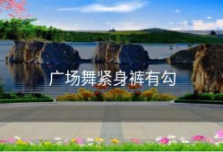 广场舞紧身裤有勾