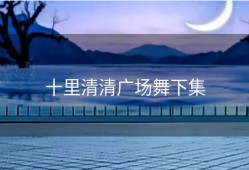 十里清清广场舞下集