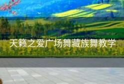 天籁之爱广场舞藏族舞教学