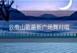 云南山歌最新广场舞对唱