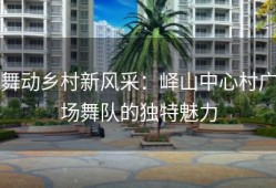 舞动乡村新风采：峄山中心村广场舞队的独特魅力