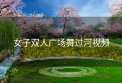 女子双人广场舞过河视频
