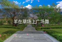 羊在草场上广场舞