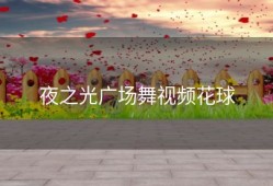 夜之光广场舞视频花球
