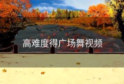 高难度得广场舞视频