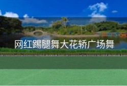 网红踢腿舞大花轿广场舞