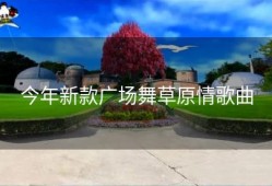 今年新款广场舞草原情歌曲