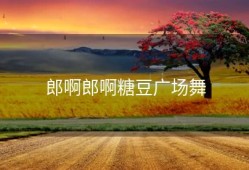 郎啊郎啊糖豆广场舞