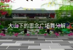 大山下的思念广场舞分解