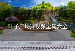 叶子广场舞视频全集大全