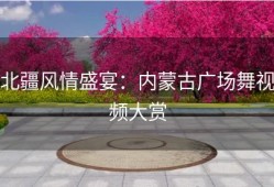 北疆风情盛宴：内蒙古广场舞视频大赏