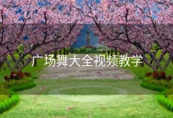 广场舞大全视频教学