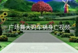 广场舞大妈车祸身亡视频