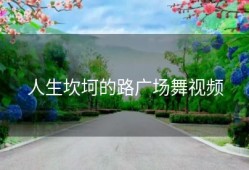 人生坎坷的路广场舞视频